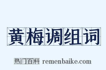 黄梅调组词是什么意思的图片